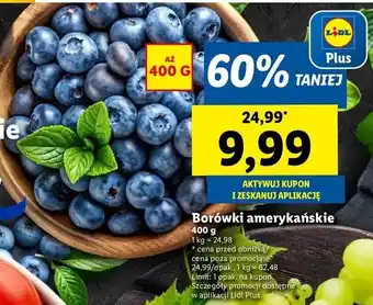 Lidl Borówka amerykańska oferta
