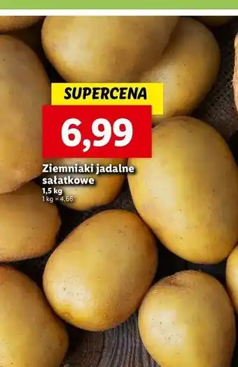 Lidl Ziemniaki sałatkowe oferta