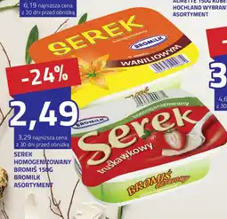 Hildebrandt Serek homogenizowany Bromilk oferta