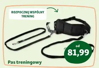 Maxi Zoo Pas treningowy oferta
