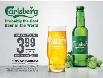 Stokrotka Market Piwo Carlsberg oferta