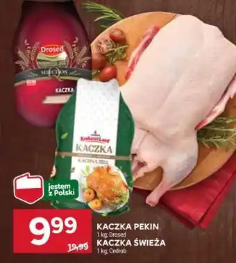 Stokrotka Market Kaczka Pekin / Kaczka Świeża oferta