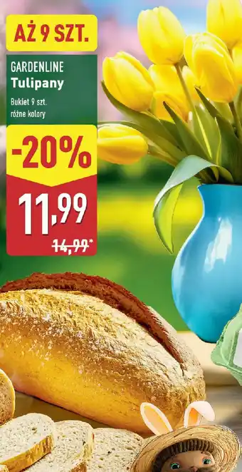 ALDI Gardenline Tuliany oferta