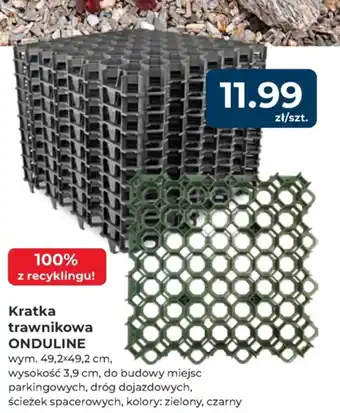 Mrówka Kratka trawnikowa Onduline oferta