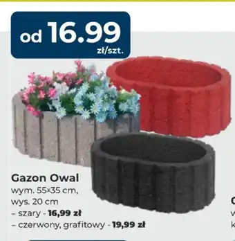 Mrówka Gazon Owal oferta