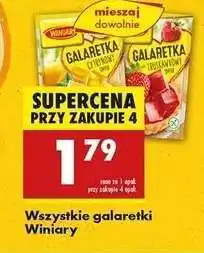 Biedronka Wszystkie galaretki Winiary oferta