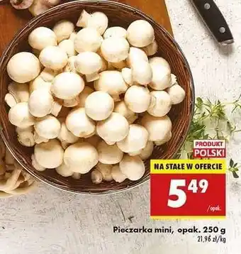 Biedronka Pieczarka mini opak . 250 g oferta