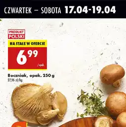 Biedronka Boczniak oferta