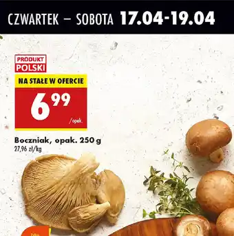 Biedronka Boczniak oferta