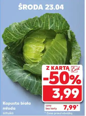 Kaufland Kapusta biała młoda oferta