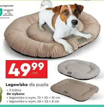 Biedronka Legowisko dla pupila oferta