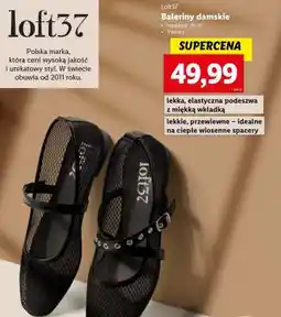 Lidl Baleriny damskie oferta