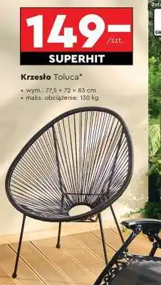 Biedronka Krzesło Toluca oferta