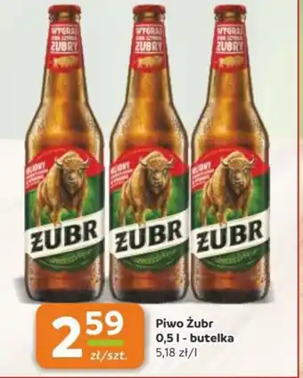 Gama Piwo Zubr oferta