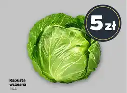 Netto Kapusta wczesna oferta