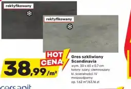 Bricomarche Gres szkliwiony Scandianavia oferta