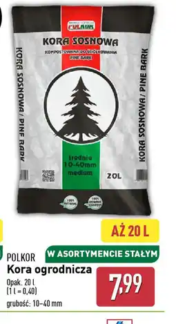 ALDI Kora ogrodnicza Polkor oferta