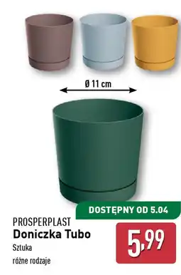 ALDI Doniczka Tubo oferta