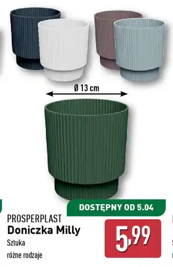 ALDI Doniczka Milly oferta