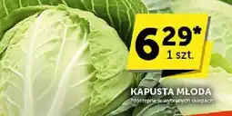 ABC Kapusta młoda ABC oferta