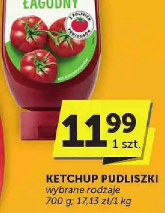 Groszek Ketchup Pudliszki Łagodny 700g oferta