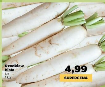 Netto Rzodkiew biała oferta