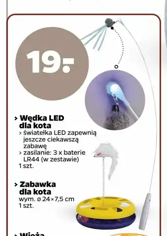 Netto Wędka LED dla kota oferta