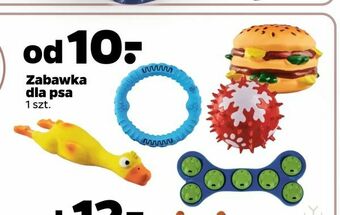 Netto Zabawka dla psa oferta