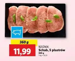 Lidl Schab, 5 plastrów oferta