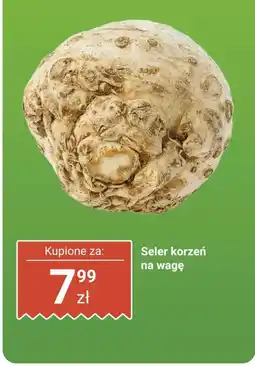 Biedronka Seler korzeń oferta