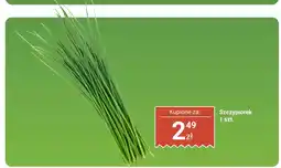 Biedronka Szczypiorek oferta