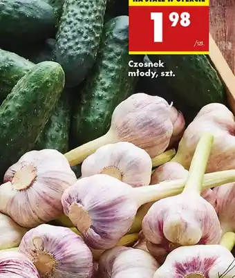 Biedronka Czosnek młody oferta