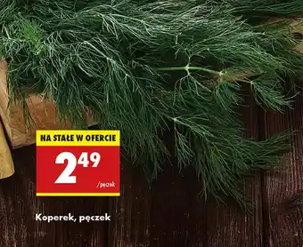 Biedronka Koperek oferta