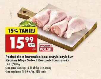 Biedronka Podudzie z kurczaka farmerskiego Kraina Mięs Select oferta