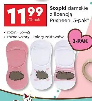 Biedronka Stopki damskie pusheen oferta