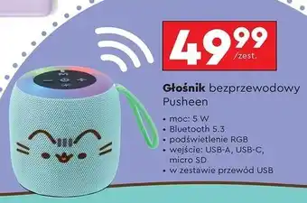 Biedronka Głośnik pusheen oferta