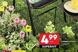 Biedronka Lampa solarna tulipan oferta