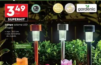 Biedronka Lampa solarna słupek 30.5 cm Gardenic oferta