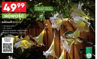 Biedronka Łańcuch solarny Dekra oferta