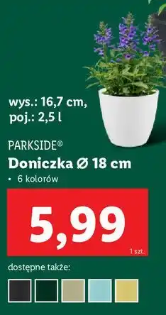 Lidl Doniczka 18 cm Parkside oferta