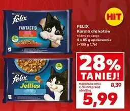 Kaufland Karma dla kota rybne smaki w galaretce Purina Felix Sensations Jellies oferta
