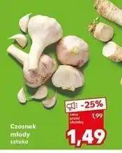 Kaufland Czosnek młody oferta