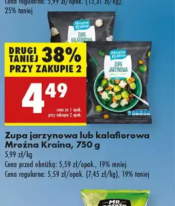 Biedronka Zupa jarzynowa lub kalafiorowa Mroźna Kraina oferta