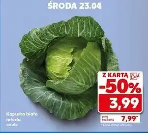 Kaufland Kapusta młoda oferta