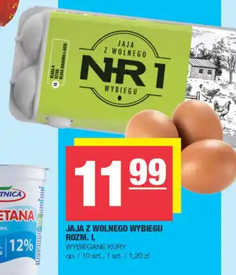 EuroSPAR Jaja Wybiegane Kury oferta