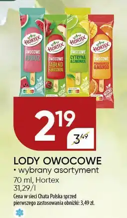 Chata Polska Lody owocowe Hortex oferta