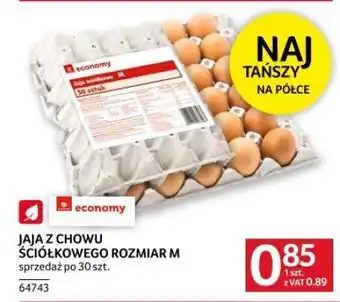 Selgros JAJA Z CHOWU ŚCIÓŁKOWEGO ROZMIAR M oferta