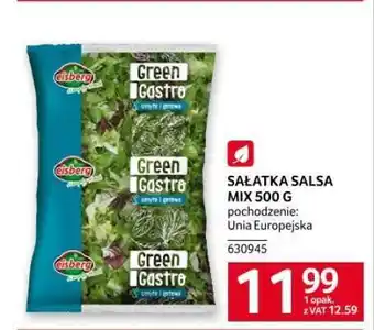 Selgros SAŁATKA SALSA MIX 500 G oferta