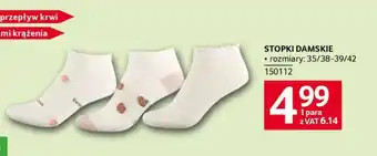 Selgros Stopki damskie oferta