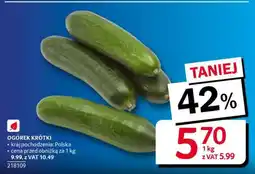 Selgros Ogórek krótki oferta